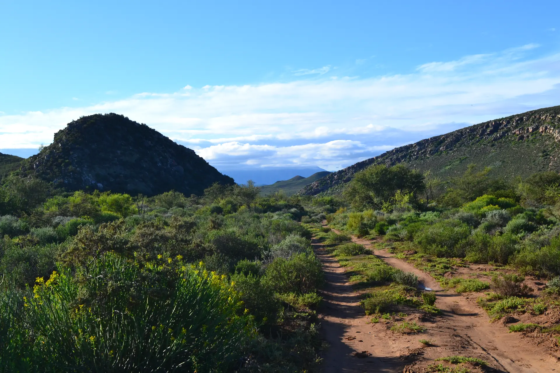 Haumanskloof Nature Reserve